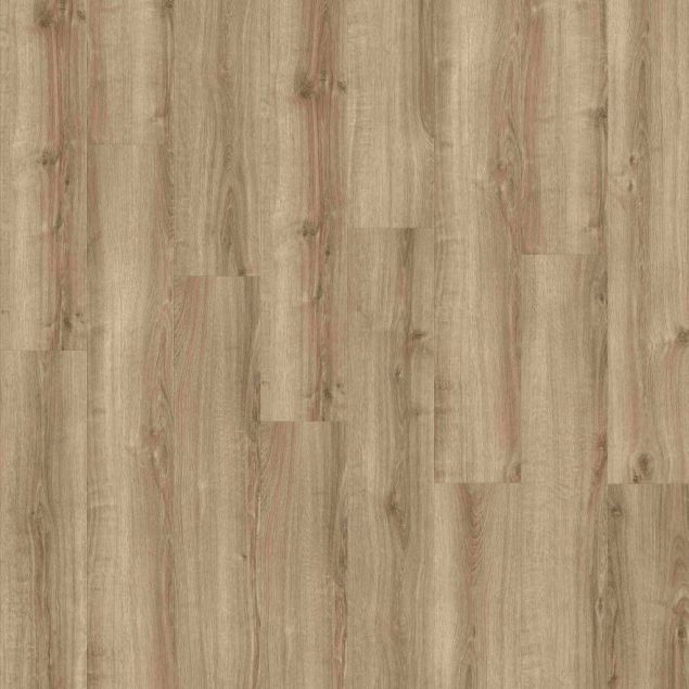 Kiri - Caruna Dryback